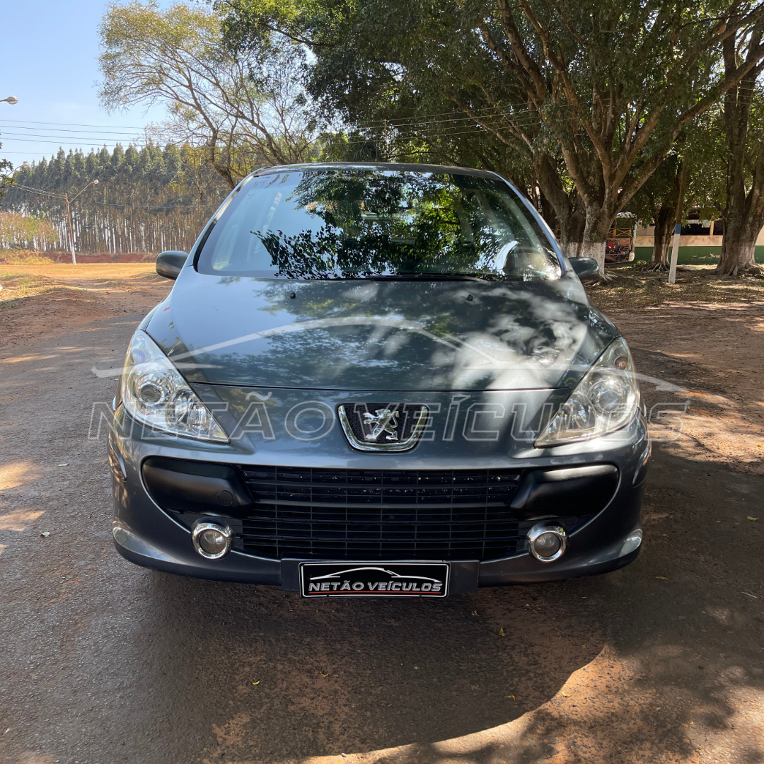 PEUGEOT 307 FELINE 2007 - PEUGEOT