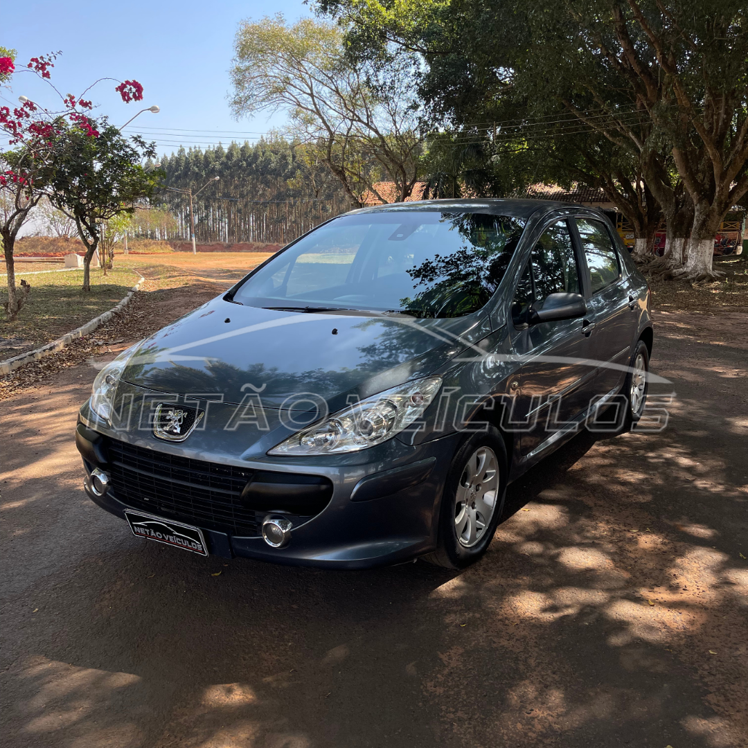 PEUGEOT 307 FELINE 2007 - PEUGEOT